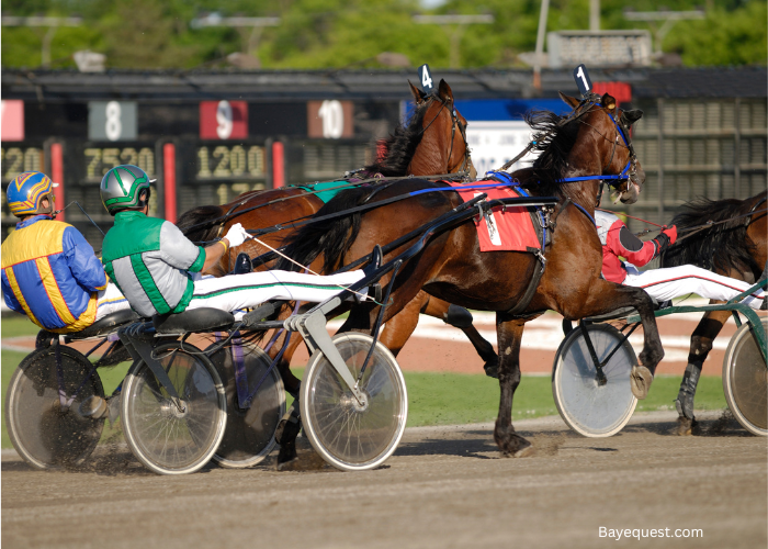 Harness Racing