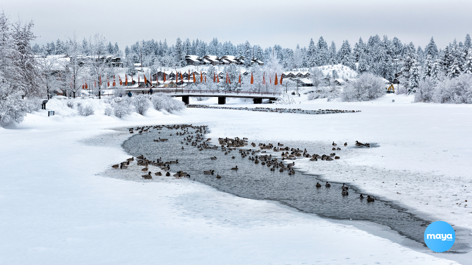 Oregon Winterfest