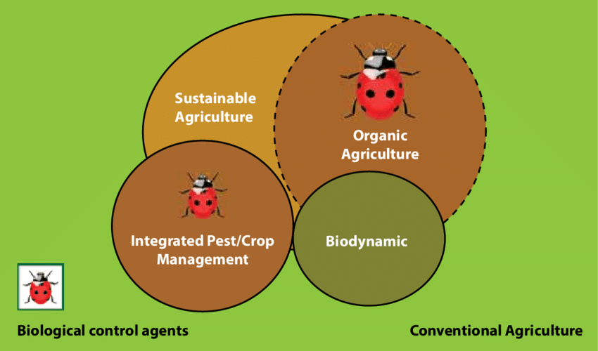 Integrating Biocontrol with Other Pest Management Strategies