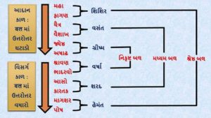 Health ઋતુ અનુસાર શું ધ્યાન રાખવાથી આરોગ્ય સારું રહે છે?
