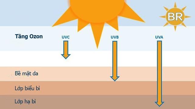 Kem chống nắng Cetaphil giúp bảo vệ da khỏi cả tia UVA và UVB