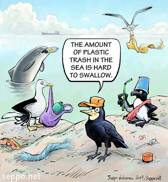 Cartoon of birds on a beach with a dolphin and a penguinDescription automatically generated