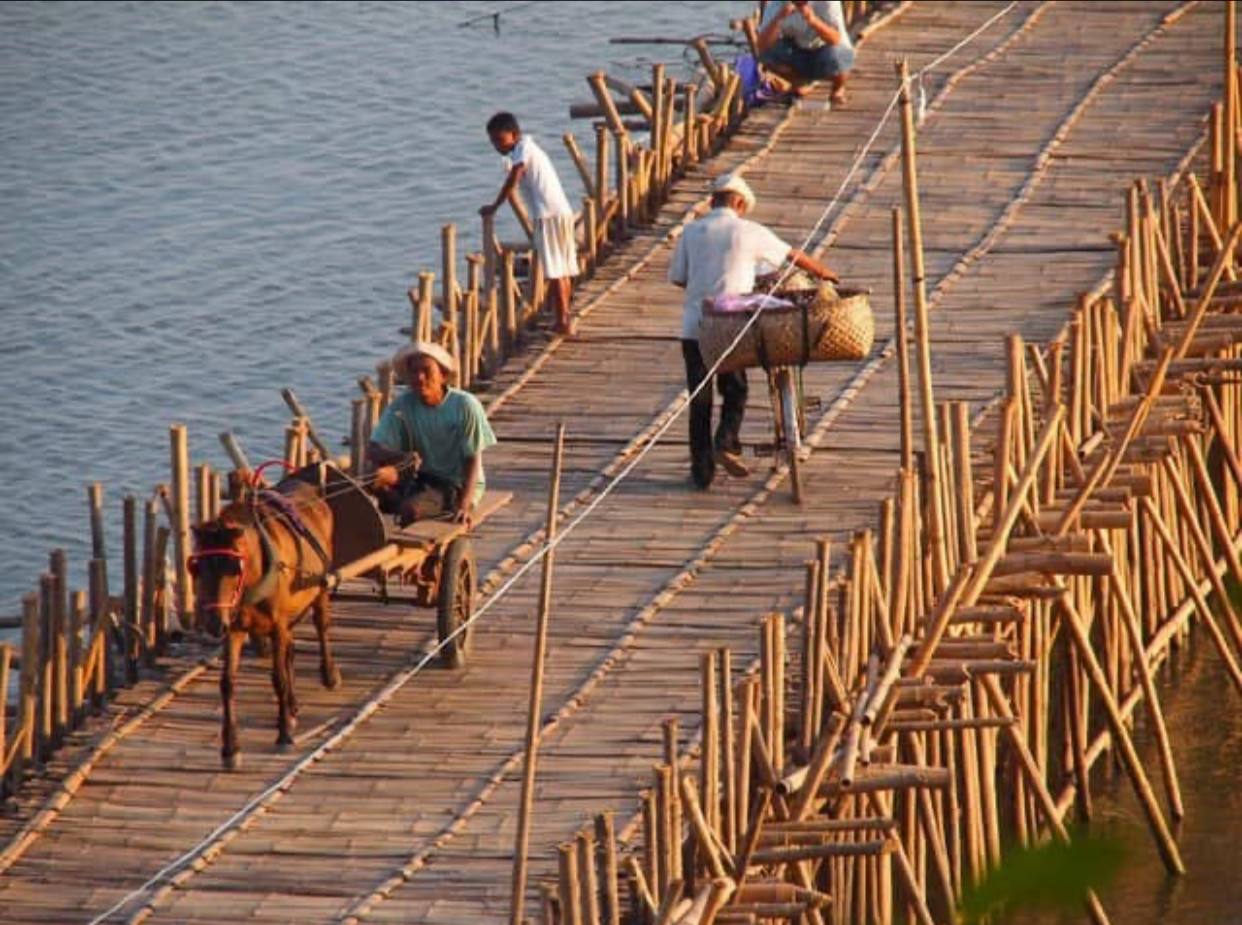 Bamboo Bridge