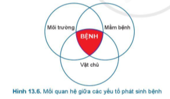 BÀI 13.QUẢN LÍ MÔI TRƯỜNG AO NUÔI VÀ PHÒNG, TRỊ BỆNH THỦY SẢNMỞ ĐẦUCâu hỏi: Quan sát Hình 13.1 và cho biết màu nước ở ao nuôi nào phù hợp để nuôi thủy sản?Đáp án chuẩn:Hình 13.1b: do sự phát triển của tảo lục => thích hợp nhất để nuôi thủy sản.1. QUẢN LÍ MÔI TRƯỜNG AO NUÔICâu hỏi : 1. Vì sao cần quản lí môi trường ao nuôi?2. Môi trường nước ao nuôi thủy sản có những đặc tính nào?Đáp án chuẩn:1. Giảm nguy cơ các bệnh do môi trường; tăng sức khỏe2. Đặc tính lí học, hóa học, sinh học.1.1.Đặc tính lí họcVD. Em hãy tìm hiểu ngưỡng chịu đựng nhiệt độ và nhiệt độ tối ưu của một số loài cá theo mẫu Bảng 13.1Đáp án chuẩn:Loài cáNgưỡng nhiệt độ ( tối thiểu – tối đa)Nhiệt độ tối ưuCá rô phi5 – 42 độ C30 độ CCá chép2 – 44 độ C28 độ CCá hồi4 – 24 độ C12 – 21 độ CCá tra15 – 39 độ C25 – 32 độ CCá tầm15 – 29 độ C22 -25 độ C Luyện tập : Em hãy cho biết một số nguyên nhân làm nước đụcĐáp án chuẩn:Do lượng mưa lớn, ao nuôi quá cạn, cho ăn quá dư thừa 1.2.Đặc tính hóa học1.3.Đặc tính sinh học1.4.Một số biện pháp quản lí môi trường ao nuôi thủy sảnCâu hỏi : Em hãy nêu một số biện pháp quản lí môi trường ao nuôi thủy sản.Đáp án chuẩn:Thiết kế ao không có góc chết, tạo dòng chảy tự nhiên trong nước, kiểm tra yếu tố môi trường nước và cung cấp lượng thức ăn phù hợp.Luyện tập : Quan sát Hình 13.4 và cho biết: Vì sao các thiết bị này lại tăng oxygen cho nước trong ao?Đáp án chuẩn:Vì các máy sục khí sẽ thực hiện nhiệm vụ sục, thổi để bùn bẩn dưới đáy 2. PHÒNG, TRỊ BỆNH THỦY SẢN