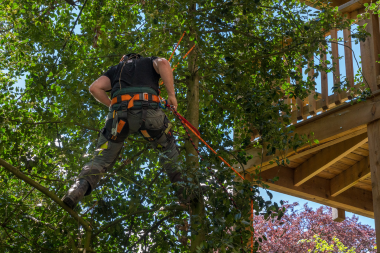 ways to prepare your deck for a michigan winter tree trimmer cutting back branches from decking custom built okemos