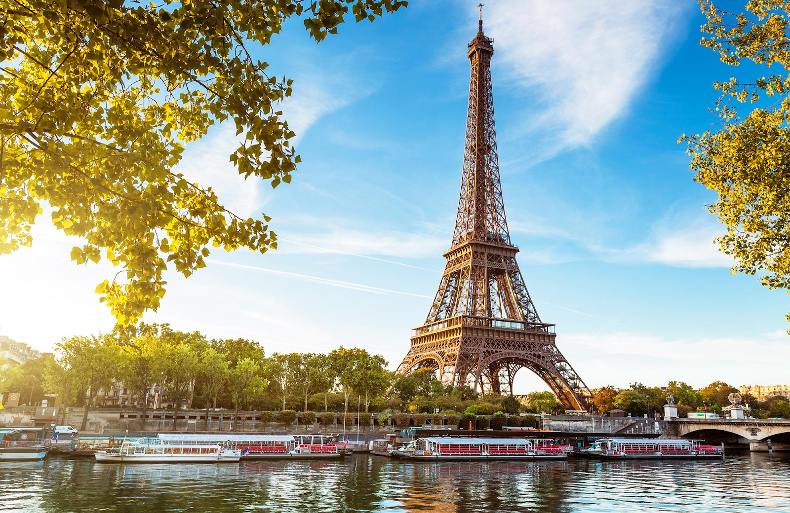 Mesmerizing picture of Eiffel Tower in Paris, France