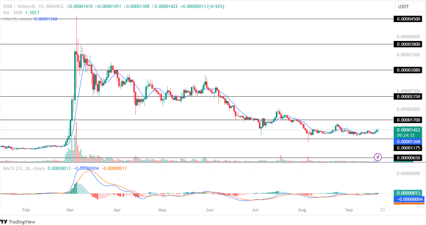 SHIB Oct Price Targets