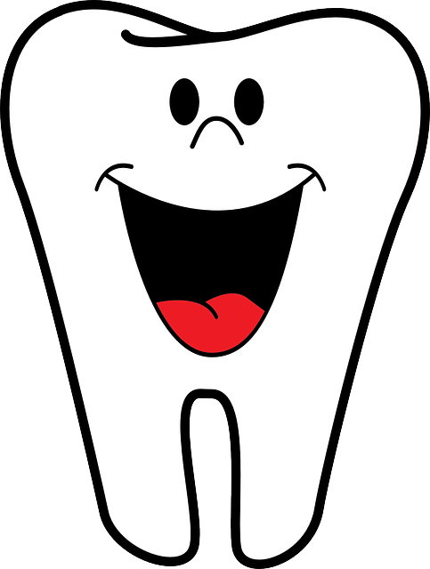dentist, teeth, tooth