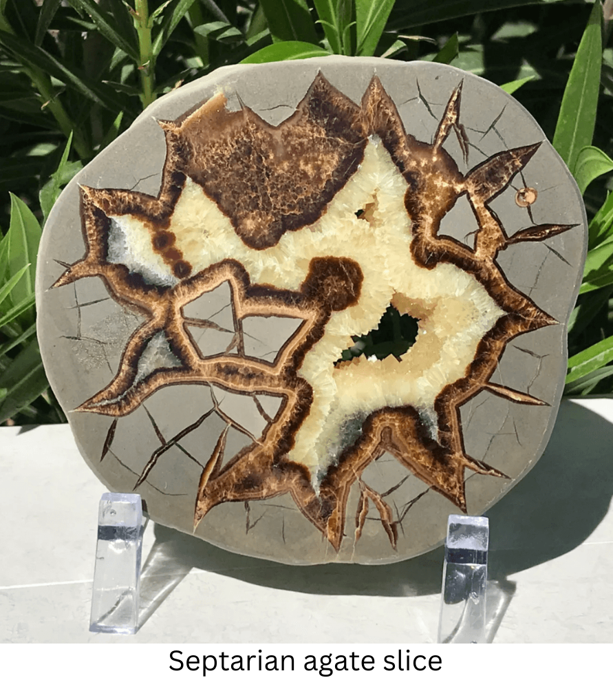 Septarian agate slice