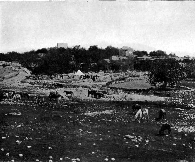 Foto en blanco y negro de un campo

Descripción generada automáticamente