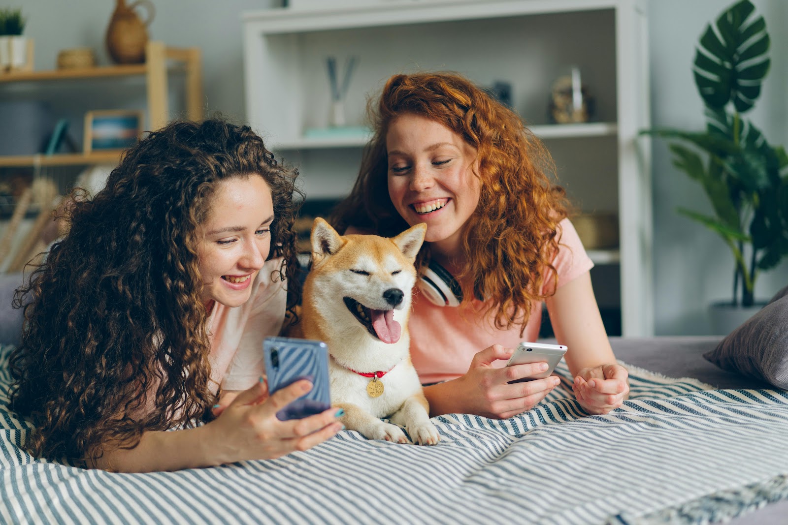 Plufl “human dog bed