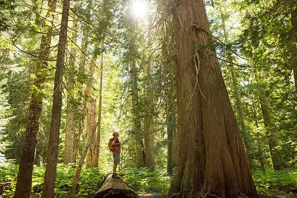 15 Timeless Photos of the Natural World, timeless nature, forever beauty, nature, landscape, classic landscapes, eternal scenes