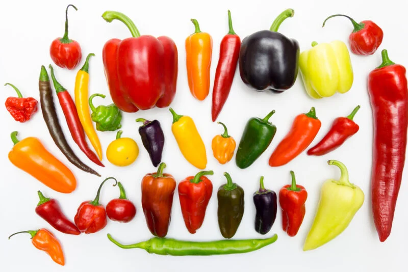 Characteristics of Peppers