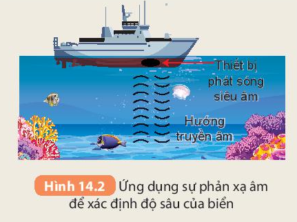 BÀI 14. PHẢN XẠ ÂM, CHỐNG Ô NHIỄM TIẾNG ỒN MỞ ĐẦUCâu hỏi: Tại sao tường của nhà hát, phòng hòa nhạc, rạp chiếu phim thường được làm sần sùi hoặc treo, phủ rèm nhung, len, dạ, …?Đáp án chuẩn:Vì để cách âm với bên ngoài, chống ô nhiễm tiếng ồn.I. PHẢN XẠ ÂMCâu 1: Tìm ví dụ về phản xạ âmĐáp án chuẩn:Ví dụ: Đứng trước vách núi hét to, ta thấy âm dội lại.Câu 2: Tại sao khi nói to trong phòng lớn thì nghe được tiếng vang, nhưng nói to như thế trong phòng nhỏ lại không nghe được tiếng vang?Đáp án chuẩn:Vì âm phản xạ từ tường phòng và âm nói ra đến tai gần như cùng một lúc.Câu 3: Người ta thường sử dụng sự phản xạ của sóng âm có tần số rất lớn (hơn 20 000 Hz) để xác định độ sau của biển. Hãy sử dụng Hình 14.2 để giải thích ứng dụng này.Đáp án chuẩn:Vì khi thu được âm phản xạ của sóng âm, ta xác định được thời gian sóng âm truyền từ tàu đến đáy biển, vận tốc truyền siêu âm trong nước là 1500 m/s → xác định được độ sâu của biển.II. VẬT PHẢN XẠ ÂM TỐT, VẬT PHẢN XẠ ÂM KÉMCâu 1: Trong những vật dưới đây, vật nào phản xạ âm tốt, phản xạ âm kém:Ghế đệm mút; mặt gương; tấm xốp; rèm nhung; mặt đá hoa; mặt tường gạch; tấm kim loại; tấm bìa; mặt nước.Đáp án chuẩn:- Phản xạ âm tốt: mặt gương; mặt đá hoa; mặt tường gạch; tấm kim loại- Phản xạ âm kém: ghế đệm mút; tấm xốp; rèm nhung; tấm bìa; mặt nước.Câu 2: Giải nhanh câu hỏi ở phần mở đầu của bài học.Đáp án chuẩn:Vì để cách âm với bên ngoài, chống ô nhiễm tiếng ồn.III. CHỐNG Ô NHIỄM TIẾNG ỒN1. Tiếng ồnCâu 1: Âm thành nào dưới đây là tiếng ồn?Tiếng xe cứu thươngTiếng học sinh phát biểu trong lớpTiếng sấmTiếng máy khoan bê tông kéo dài liên tục gần khu dân cưTiếng ồn từ khu chợ gần lớp họcTiếng hát karaoke vào đêm khuyaĐáp án chuẩn:a, c, d, e, g.Câu 2: Hãy tìm thêm các ví dụ trong thực tế về ô nhiễm tiếng ồnĐáp án chuẩn:Ví dụ: tiếng máy bay cất cánh, tiếng còi xe lửa,…2. Các biện pháp để giảm tiếng ồn ảnh hưởng đến sức khỏe