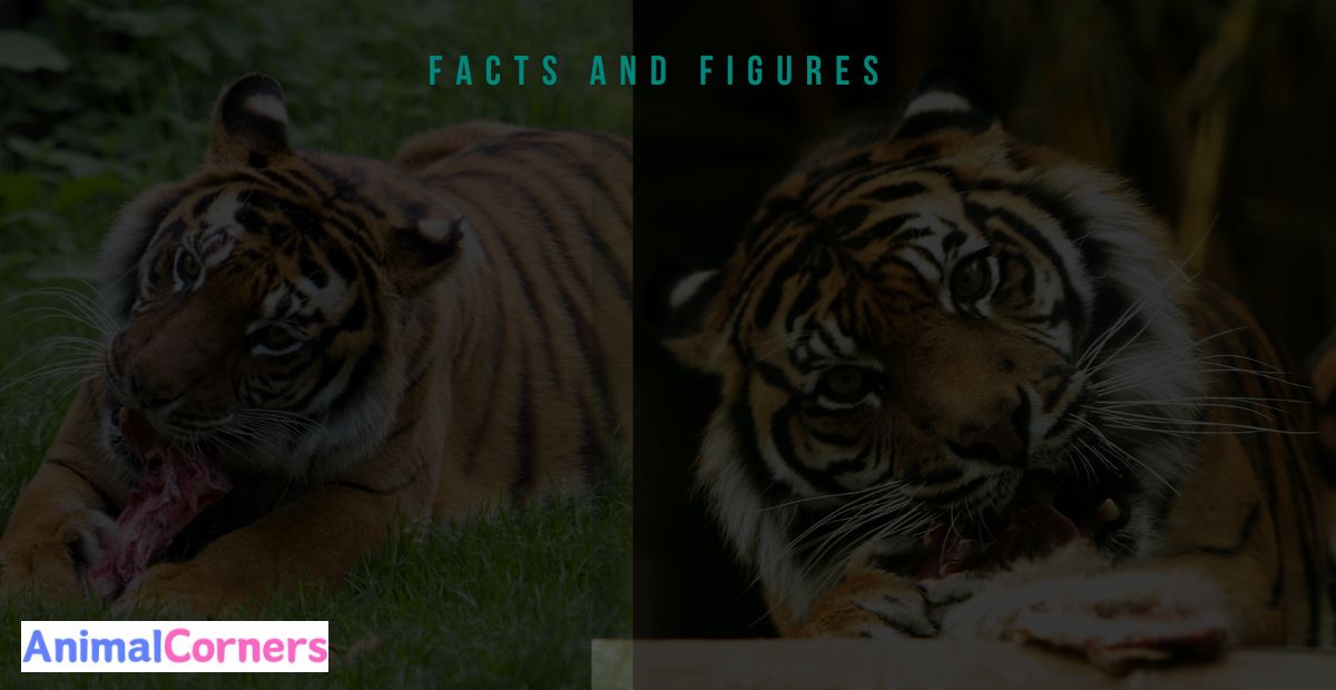 Facts and Figures: Statistical Data from Wildlife Studies