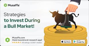 How To Invest in a Bull Market to Maximise Profit? 