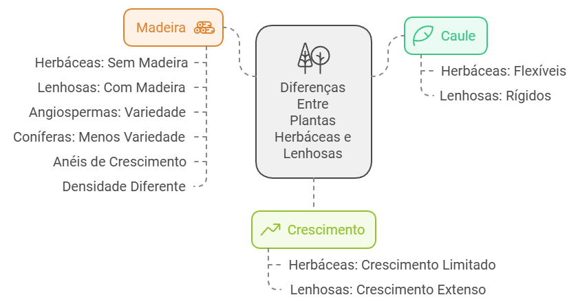 Diferenças Entre Plantas Herbáceas e Lenhosas