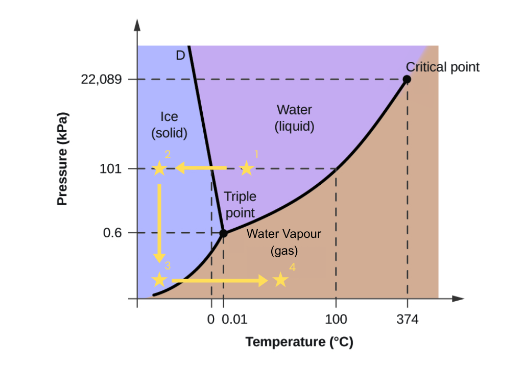 Freeze-Drying-Water-Phase-Chart-Graphic-Sublimation-Triple-Point
