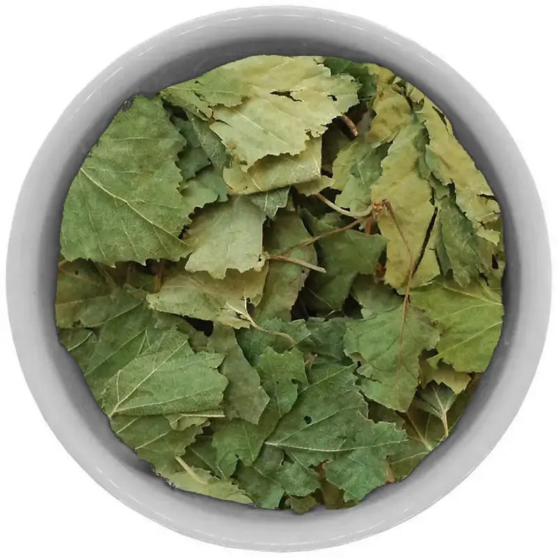 birch leafs