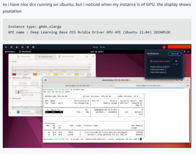 Screenshot of a NICE DCV user reporting display pixelation, including an image of their Ubuntu desktop with system monitor and a notification about display latency.