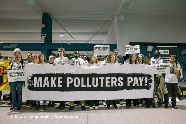 Foto de ativistas do Greenpeace carregando banners e cartazes na COP 29