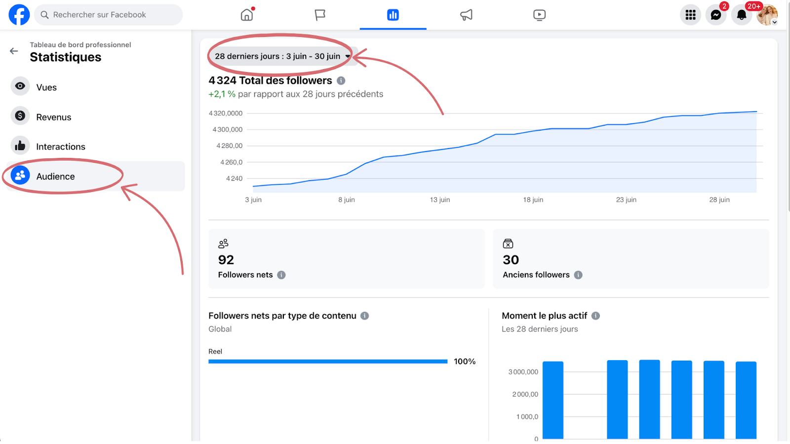 statistiques Facebook Audience
