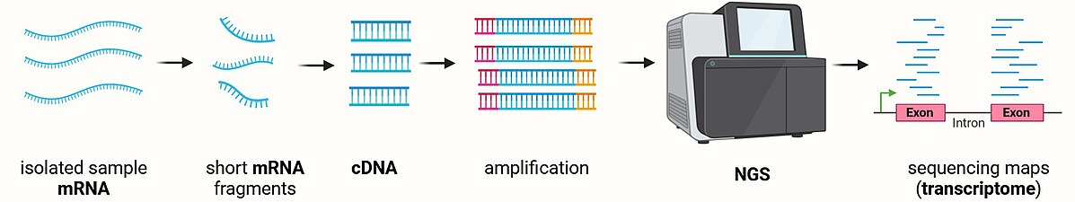 Types of Transcriptome Analysis Technologies? 