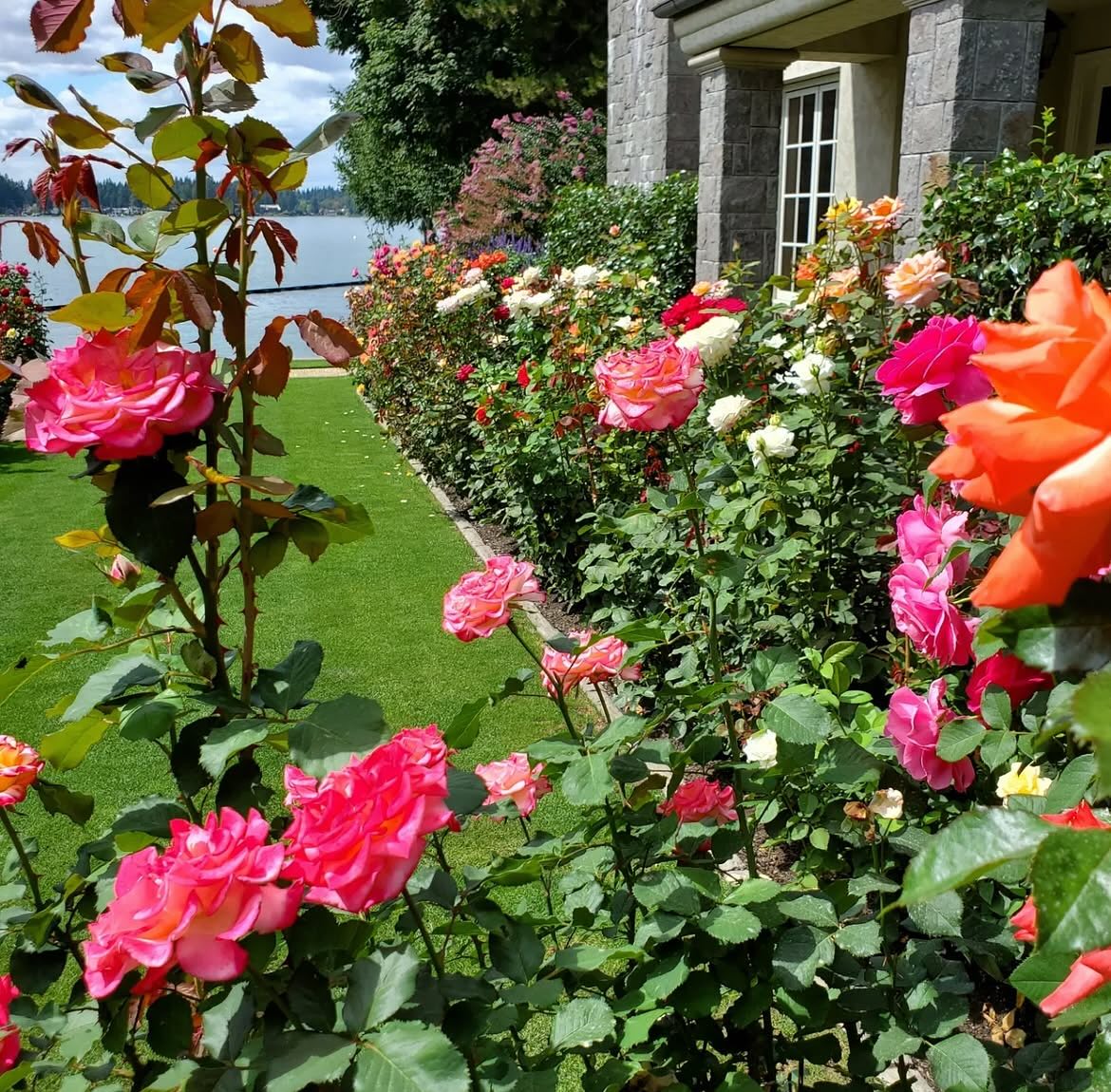 International Rose Test Garden