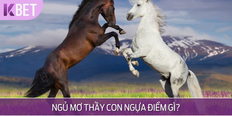 minh hoạ điềm báo khi mơ thấy ngựa