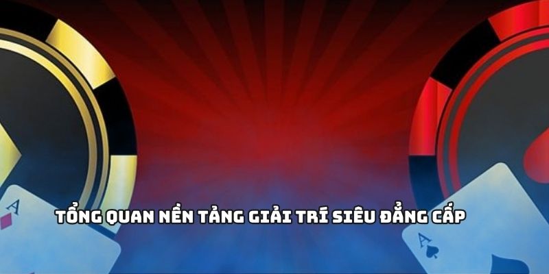 AD 4nXdvtOy1ook7EcyB7X3DQ4mPHZRAYtoLwXm7eKAbjIcnXpQKUw5sdmxRU