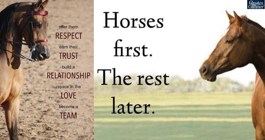 Horse Quotes of Praise and Respect