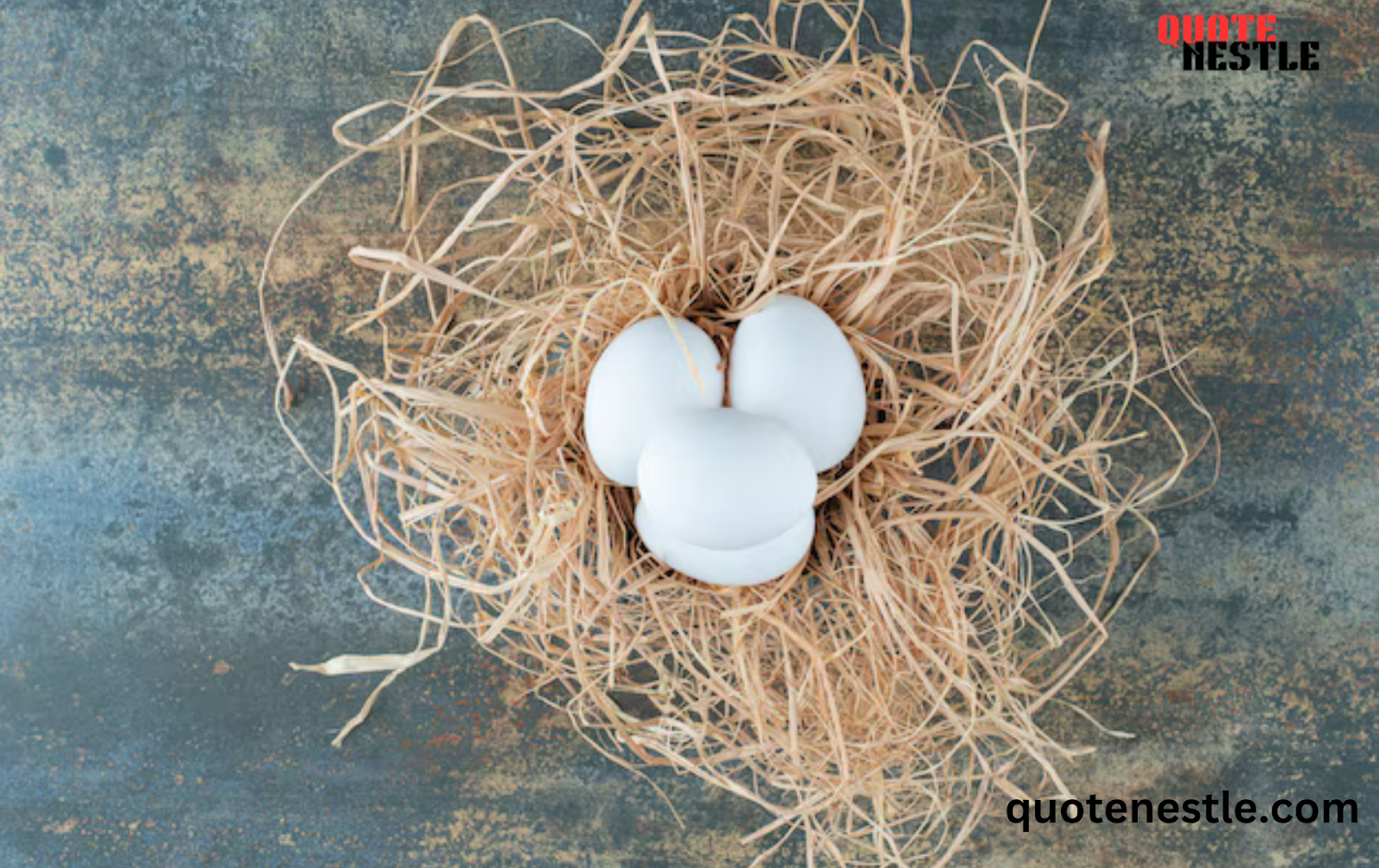 Empty nest quotes for instagram