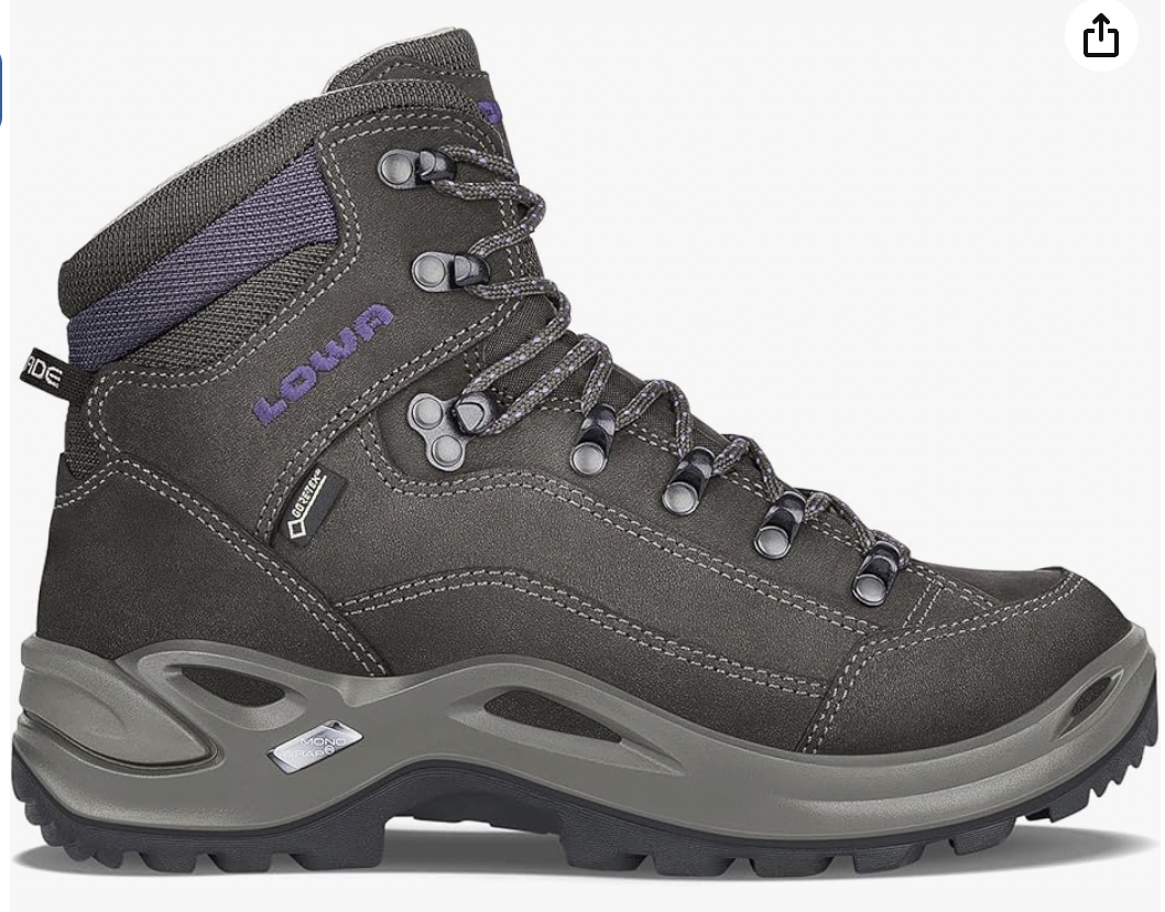 Lowa Renegade GTX Mid 
