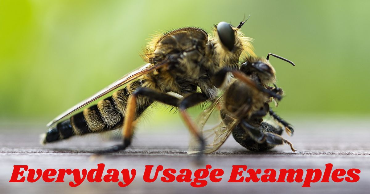 everyday-usage-examples