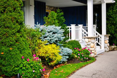 landscaping mistakes to avoid while remodeling your outdoor living space front shrubs and foliage custom built michigan