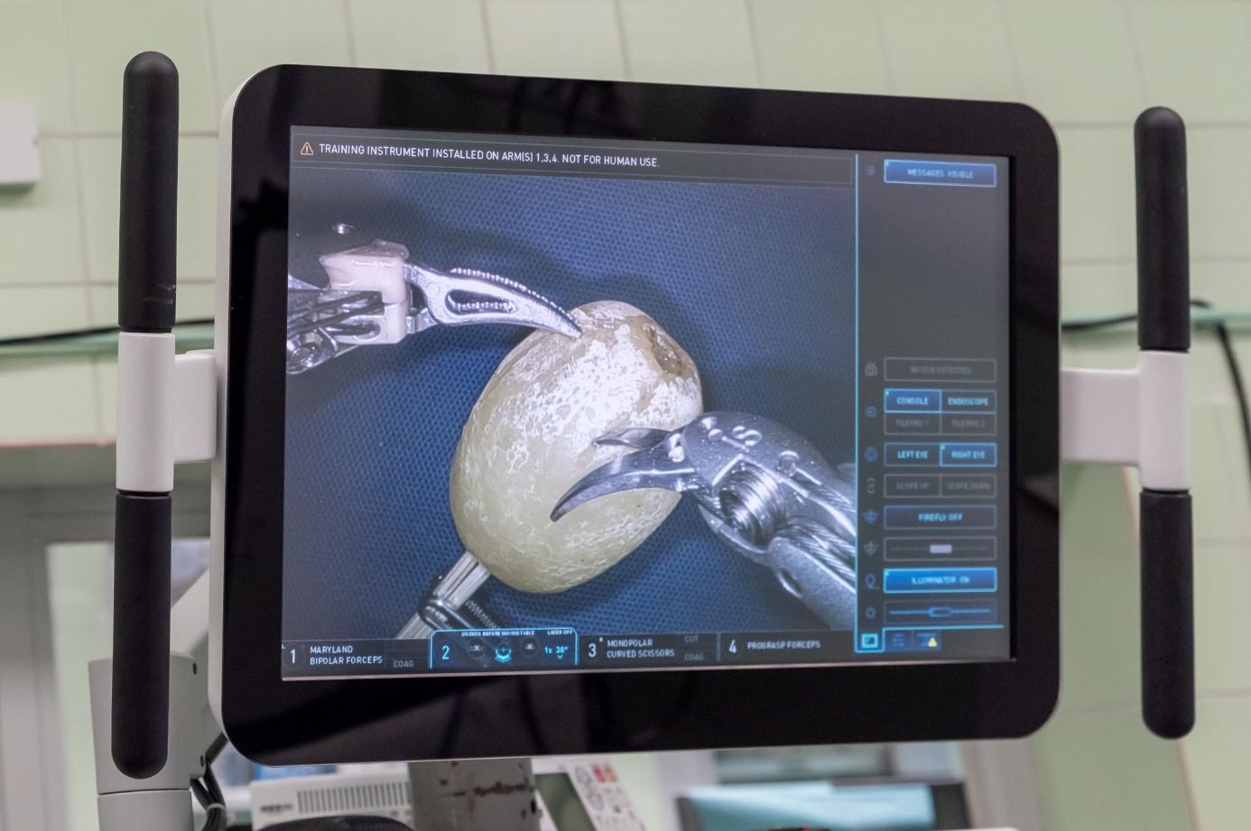 Dr. Zsolt Szepesváry demonstrated the possibilities offered by the surgical robot by peeling a grape and sewing its skin back on