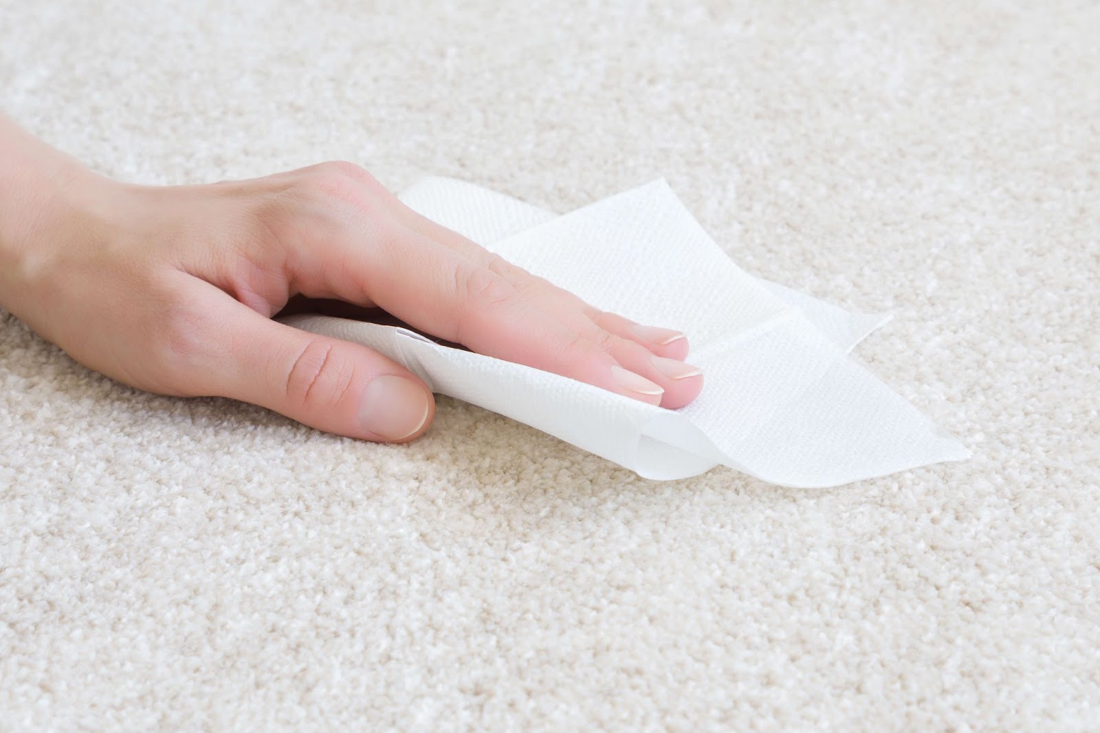 Woman removing carpet stain by blotting with a white paper towel as recommended in carpet and rug stain removal guide