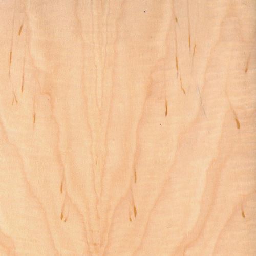 A close-up of a wood grain

Description automatically generated