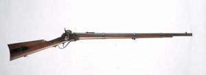 Sharps Rifle