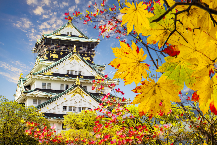 Du Lịch Osaka Mùa Thu - 5 Địa Điểm Thú Vị | SONGHANTOURIST