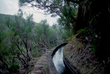 Levada de 25 fontes