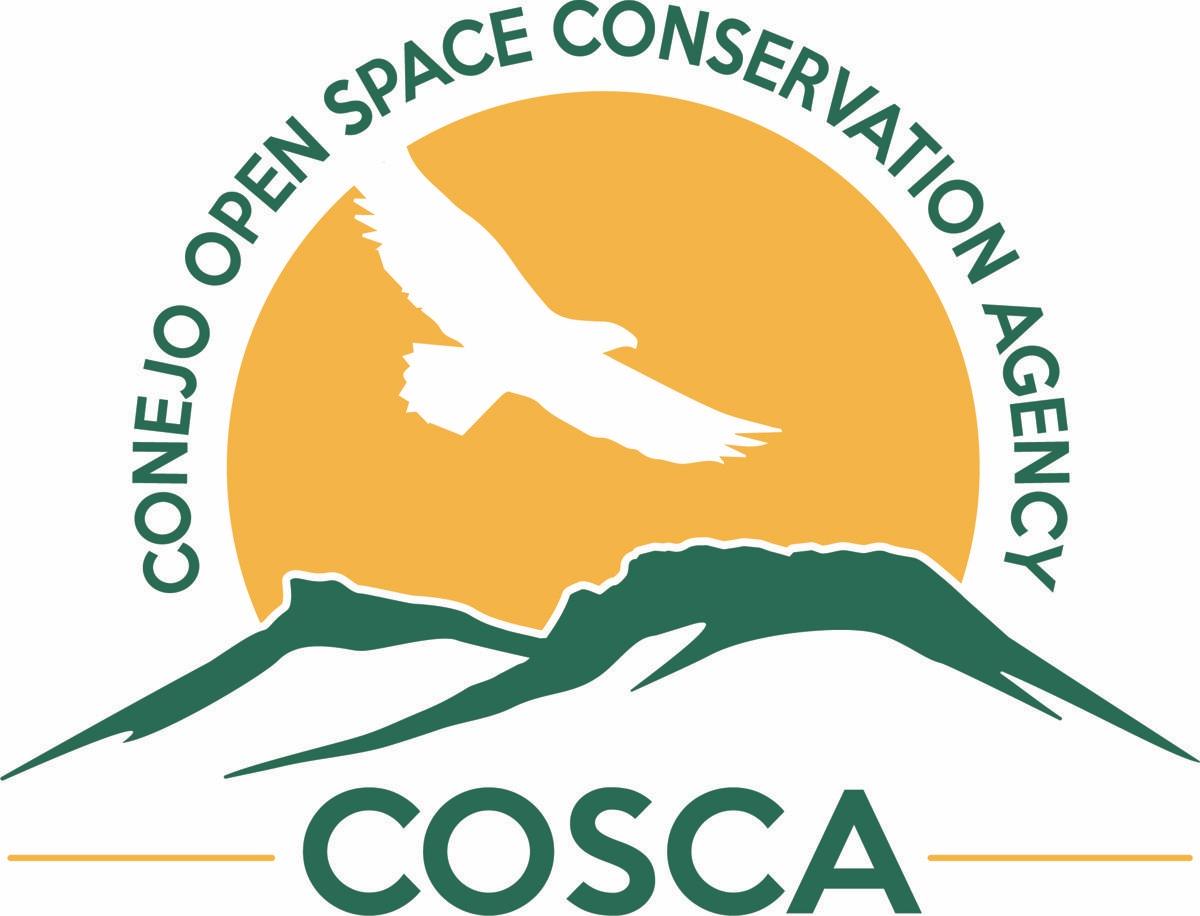 COSCA-Logo-1200-px-wideRBG.jpg