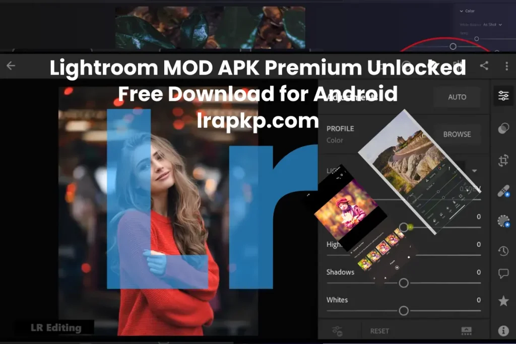 Lightroom Mod APK (Latest Version)
