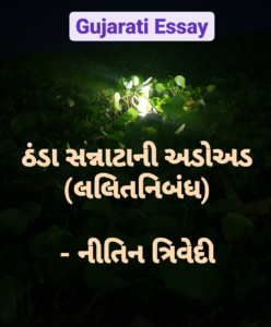 Gujarati Essay ઠંડા સન્નાટાની અડોઅડ (લલિતનિબંધ)