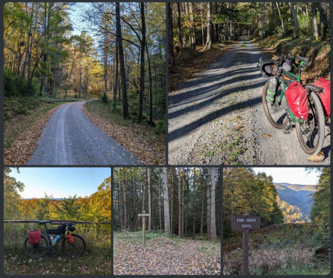 cycling on the pine creek rail trail