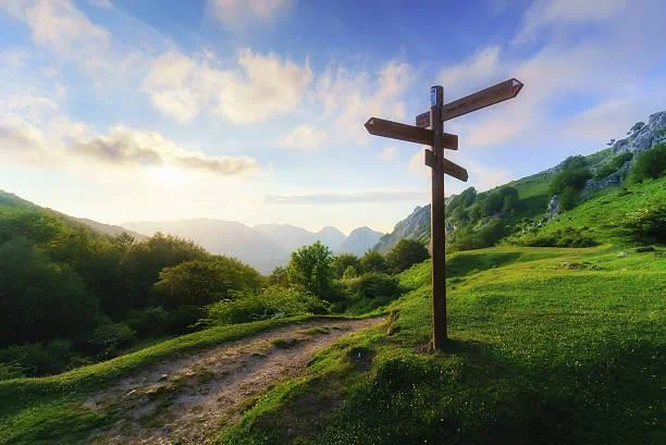 25 Photos That Celebrate the Wild, wild nature, untamed landscapes, nature, landscape, outdoor freedom, earth rawness