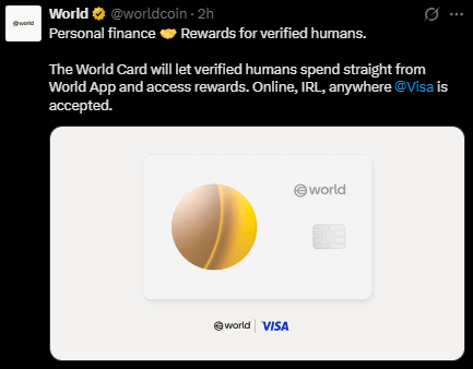 Visa worldcoin paayment