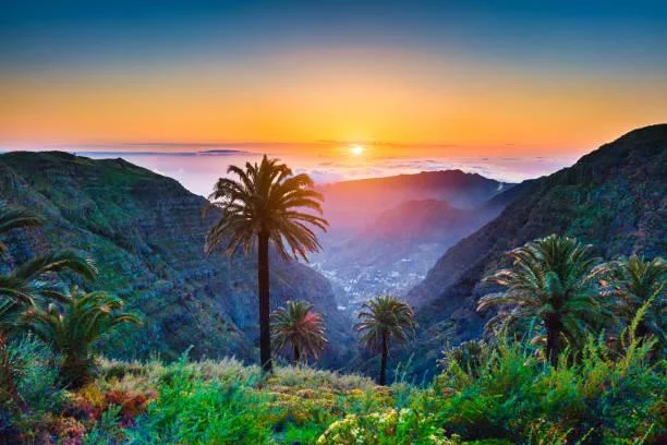 Discover Nature