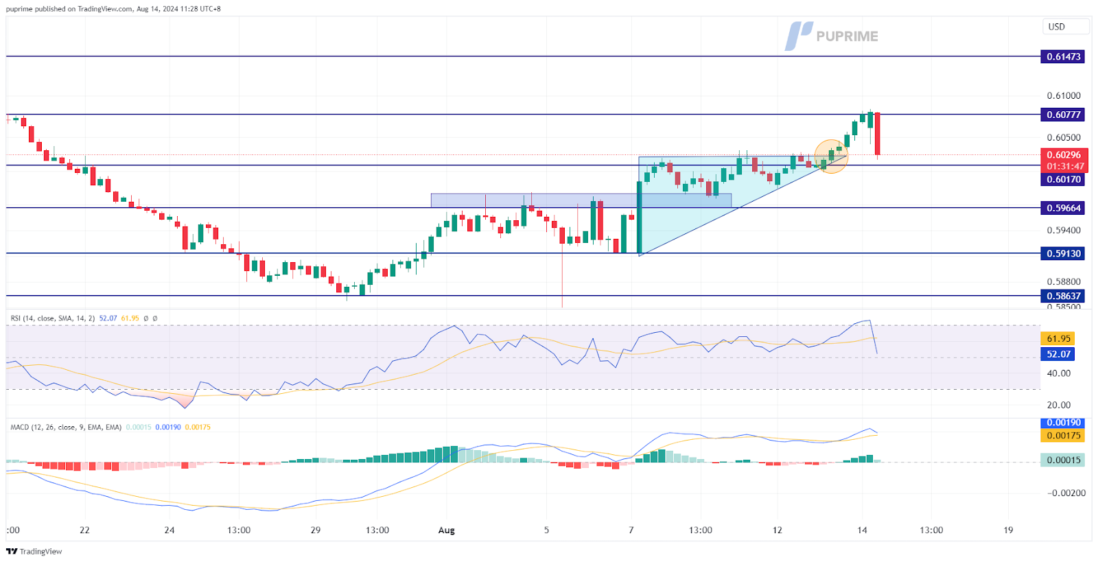 NZD/USD price chart 14 August 2024