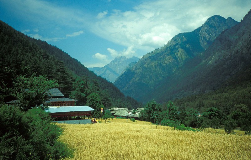 Picturesque view of Kasol, Himachal Pradesh, with the Parvati River, pine forests, and a peaceful Himalayan setting.
